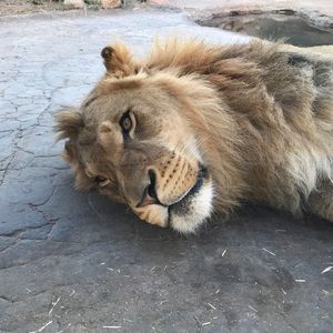 Meet your Posher, Tim